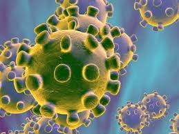 What’s Happening with the Coronavirus? 