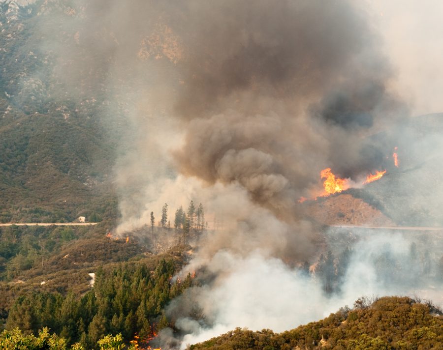 How Wildfires Affect Us and Our Health 