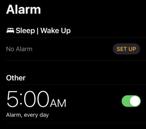 Later Start = More Smart?