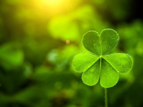 What Can You Do for St. Patricks Day?